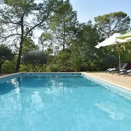 Modernly Decorated Proven Al House Villa